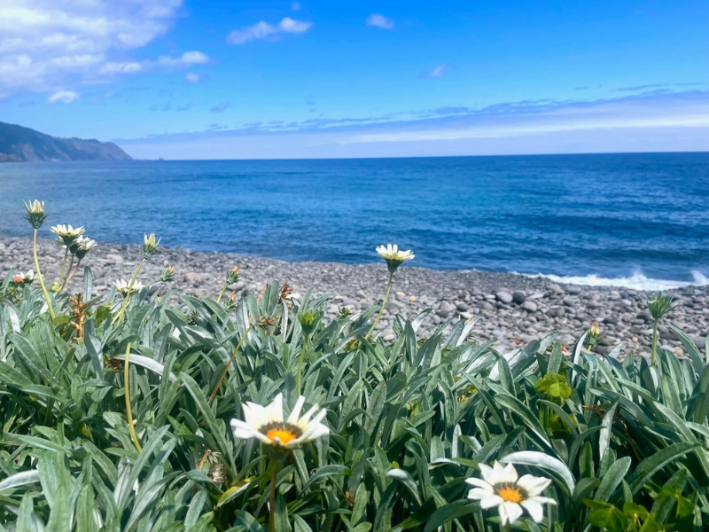 Grand Tour Madeirou 15