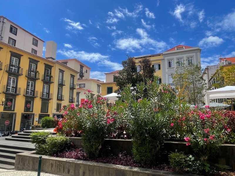 Grand Tour Madeirou 24