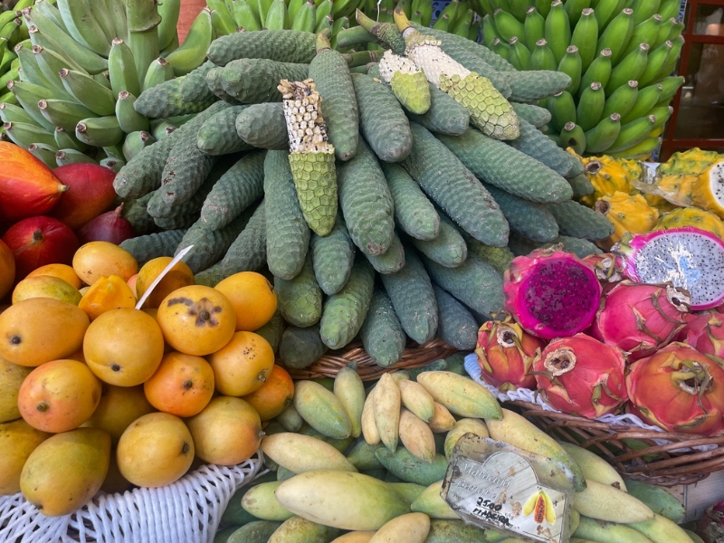 Grand Tour Madeirou 11