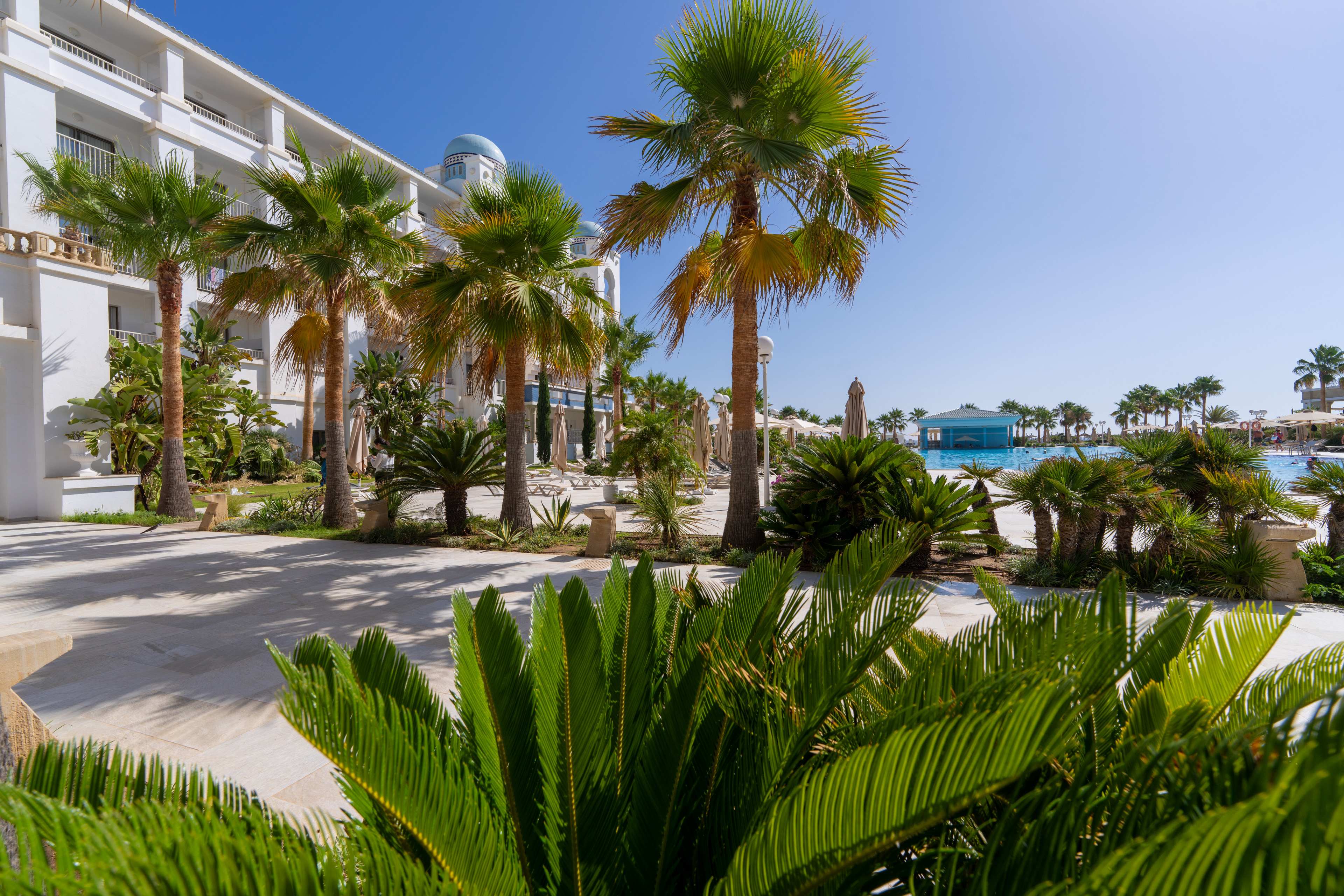 Barcelo Concorde Green Park Palace 27