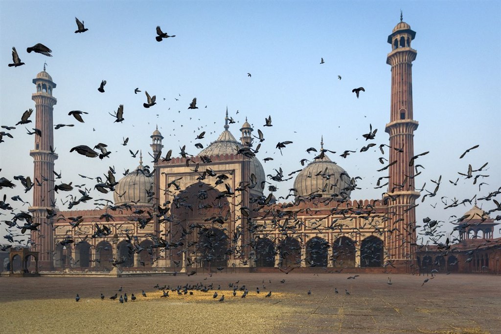 India - zlatý trojuholník 10