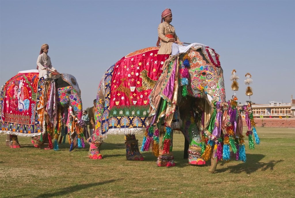India - zlatý trojuholník 7