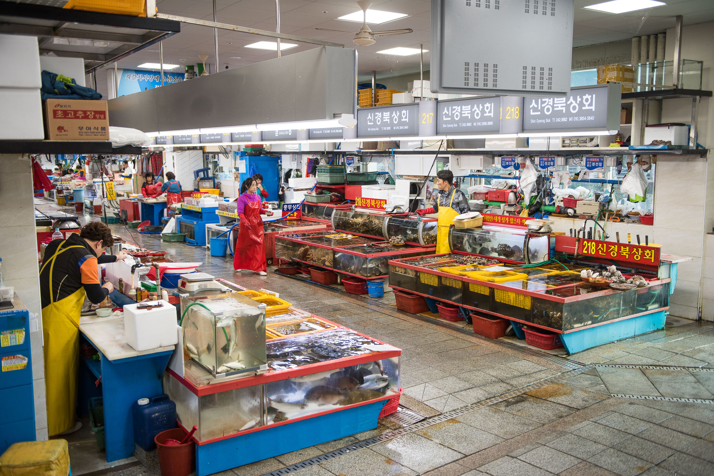 Južná Kórea - kultúra, tradície a moderné mestá 18