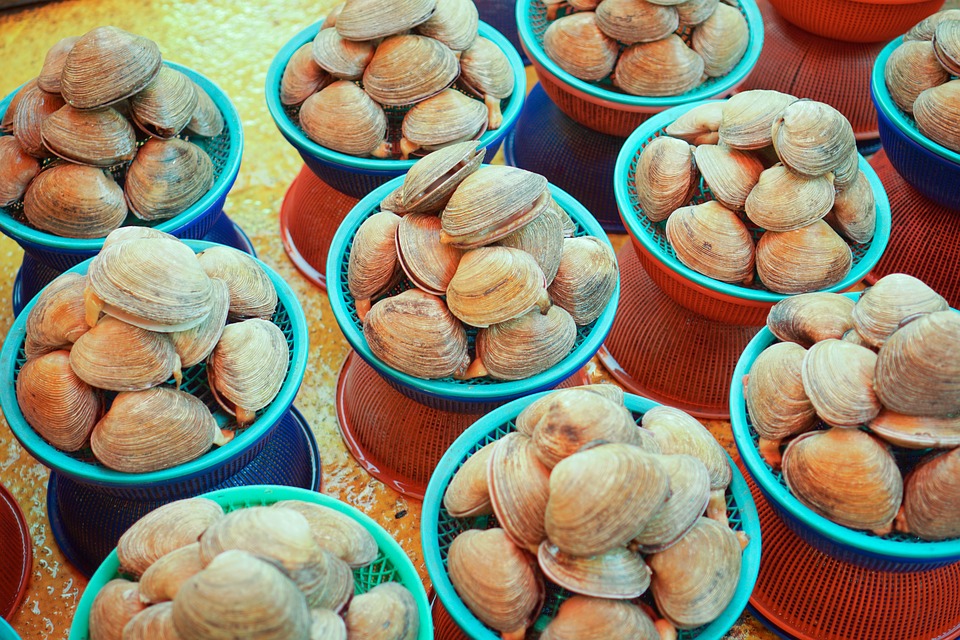 Južná Kórea - kultúra, tradície a moderné mestá 8