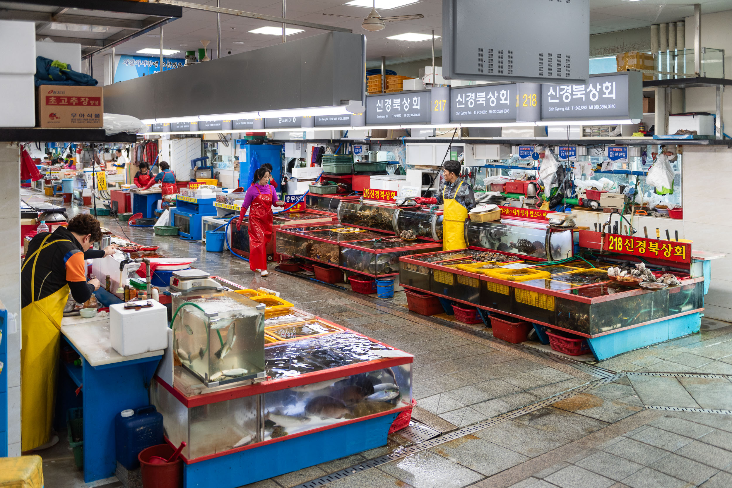 Južná Kórea - kultúra, tradície a moderné mestá 31