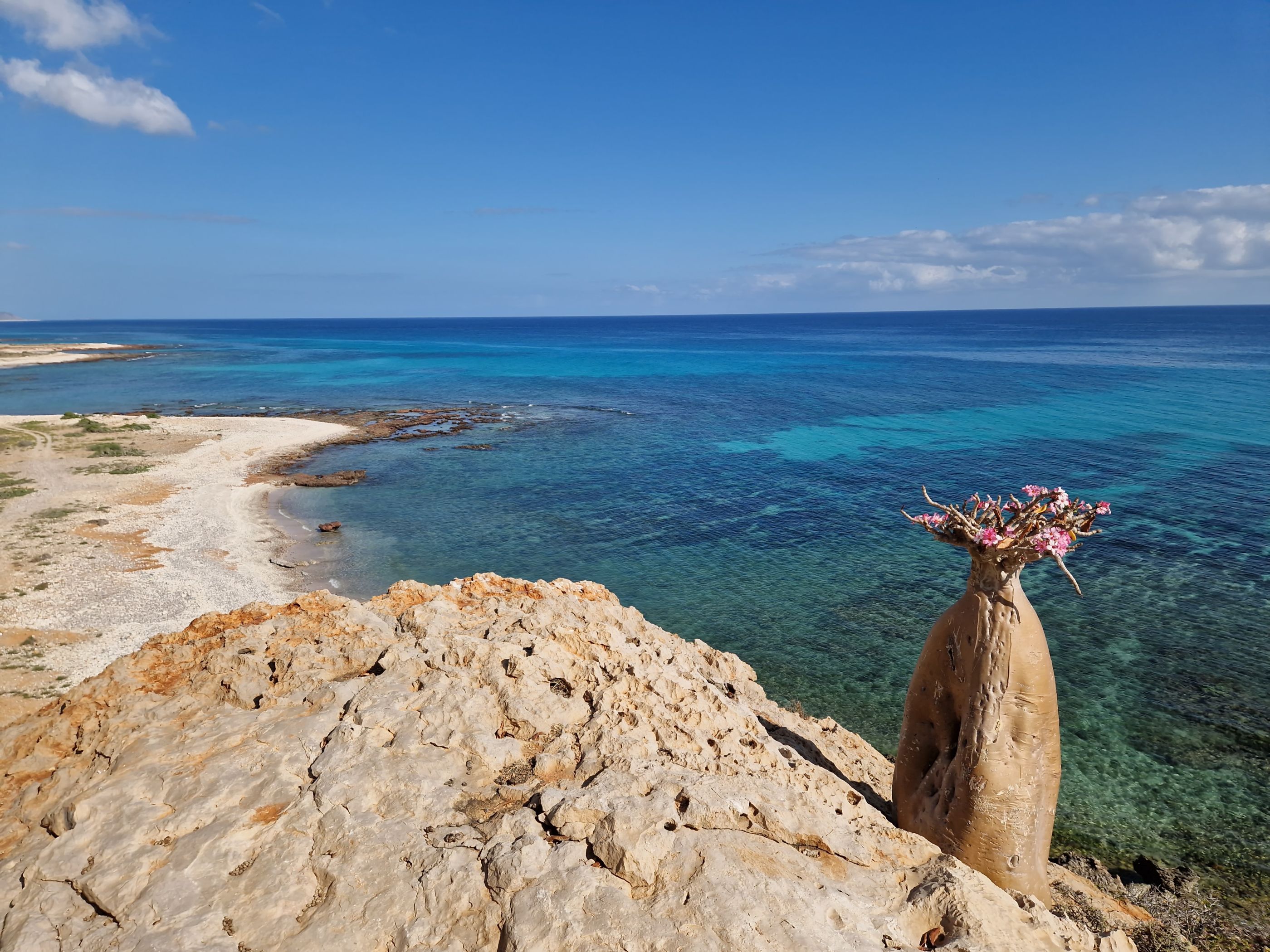 Sokotra - tajomstvá dračieho ostrova 20