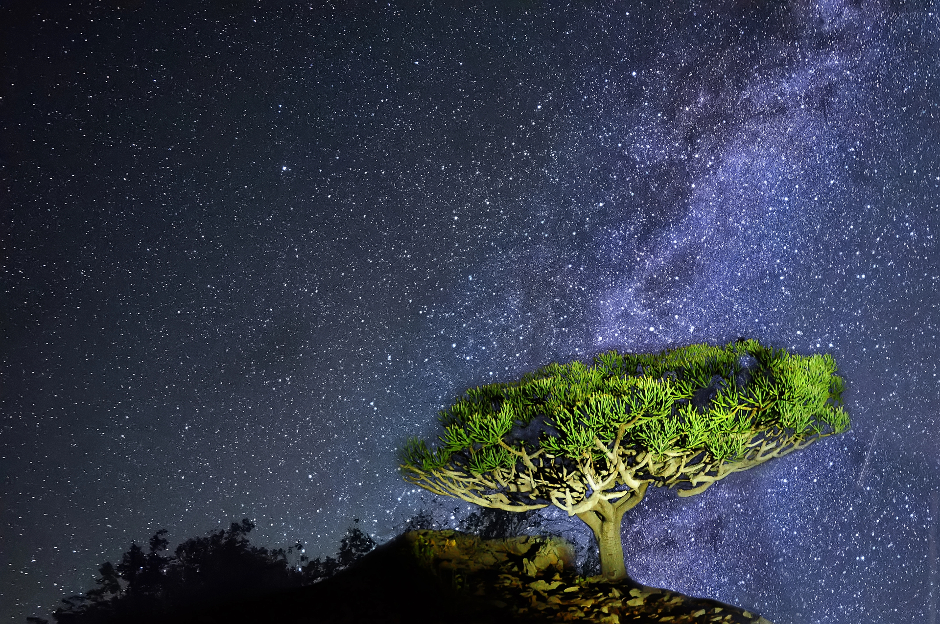 Sokotra - tajomstvá dračieho ostrova 11