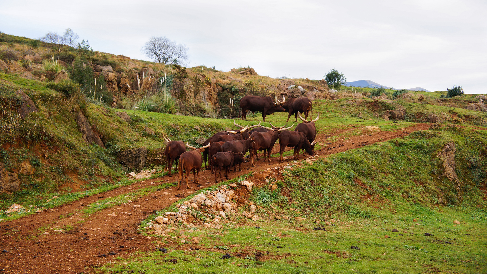 Santander - najkrajšia nevesta mora 13
