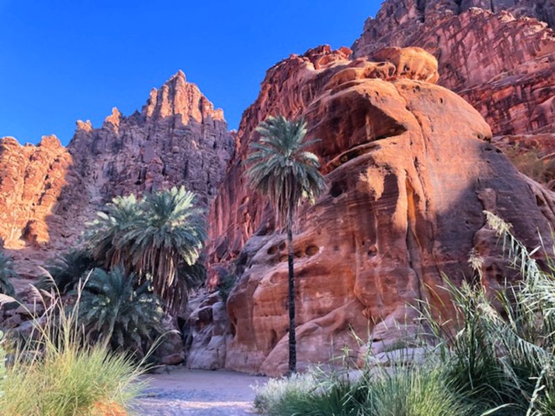 Z Jordánska do Saudskej Arábie 13