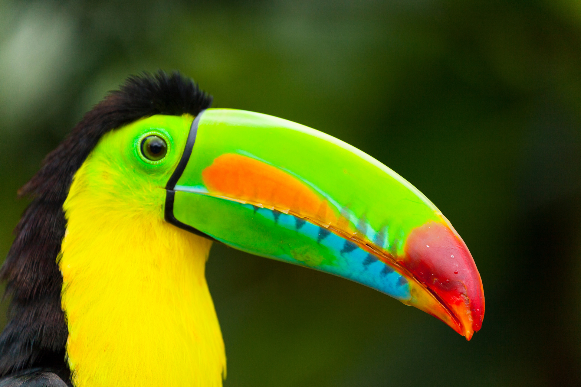 Kostarika & Panama 7