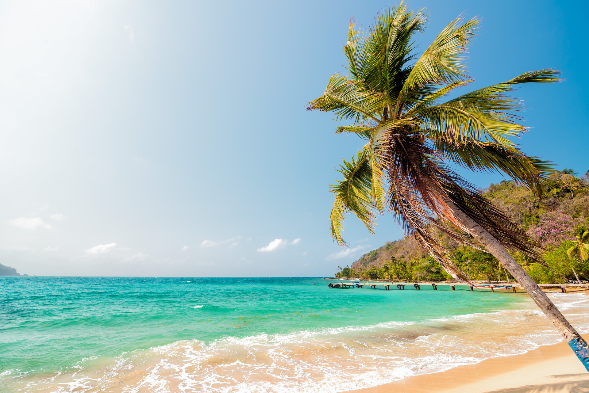 Kostarika & Panama 5