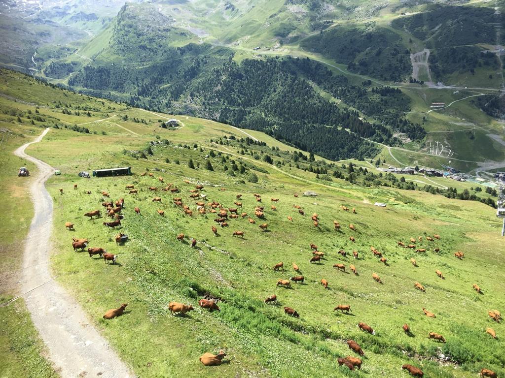 Krásy francúzskych Álp 13