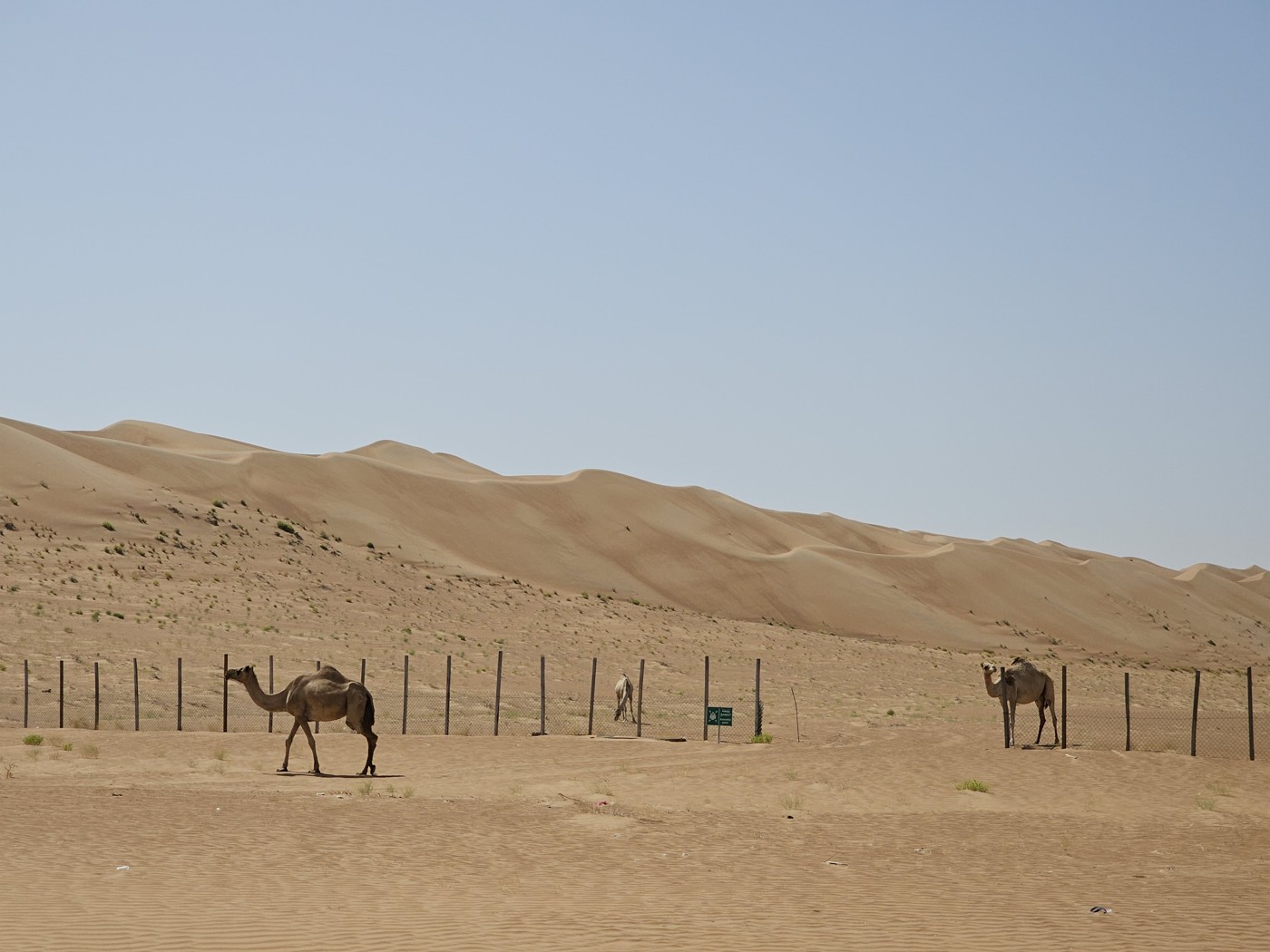Omán - poklady severu s pobytom pri mori 14