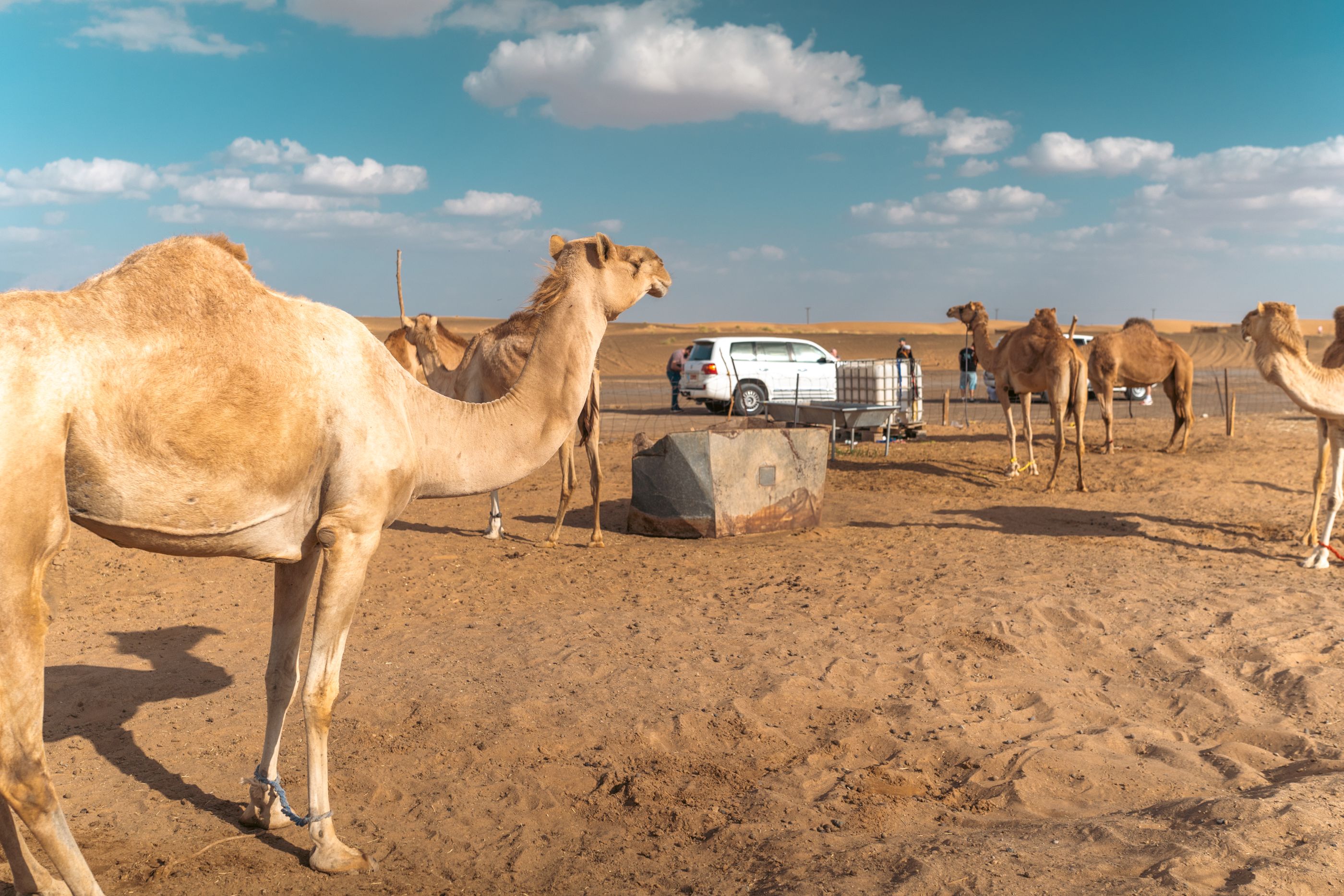 Omán - poklady severu s pobytom pri mori 32