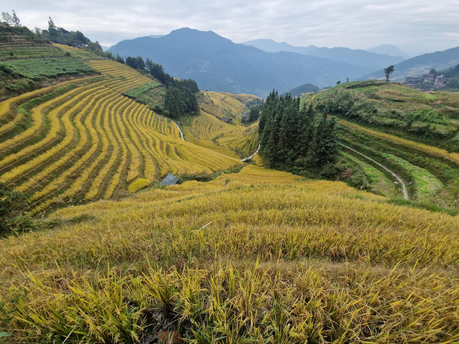 Najpestrejšia Čína 20