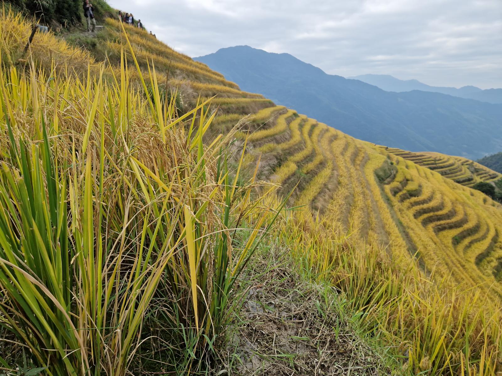 Najpestrejšia Čína 22