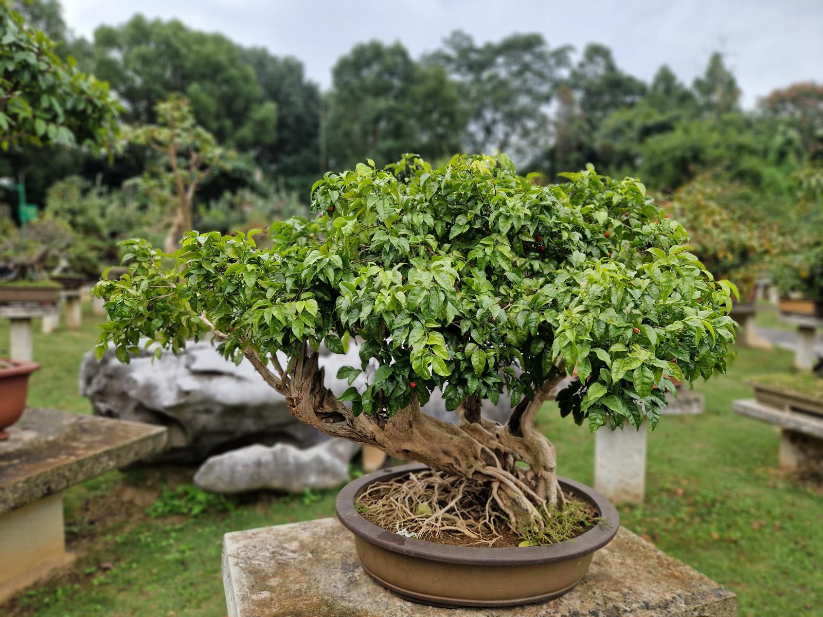 Najpestrejšia Čína 27