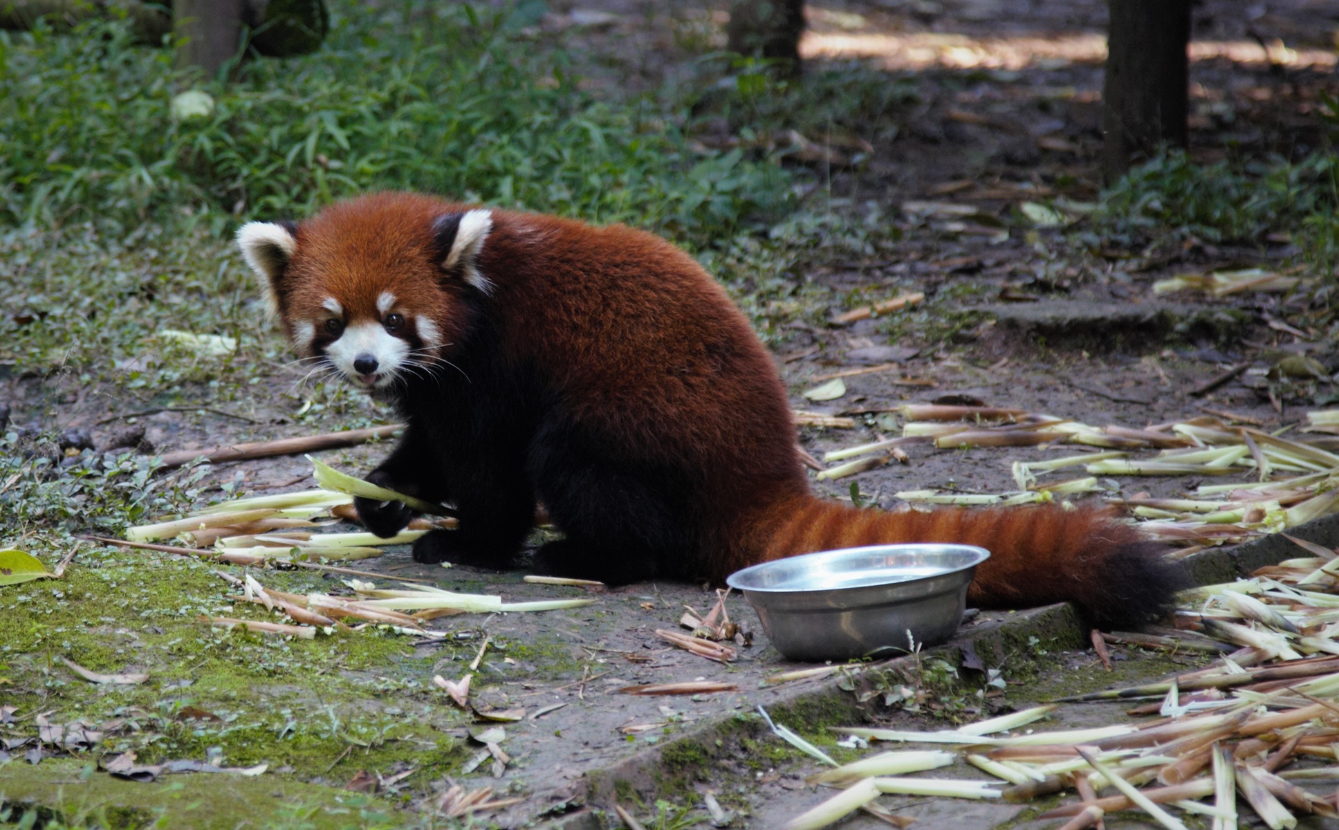 Najpestrejšia Čína 39