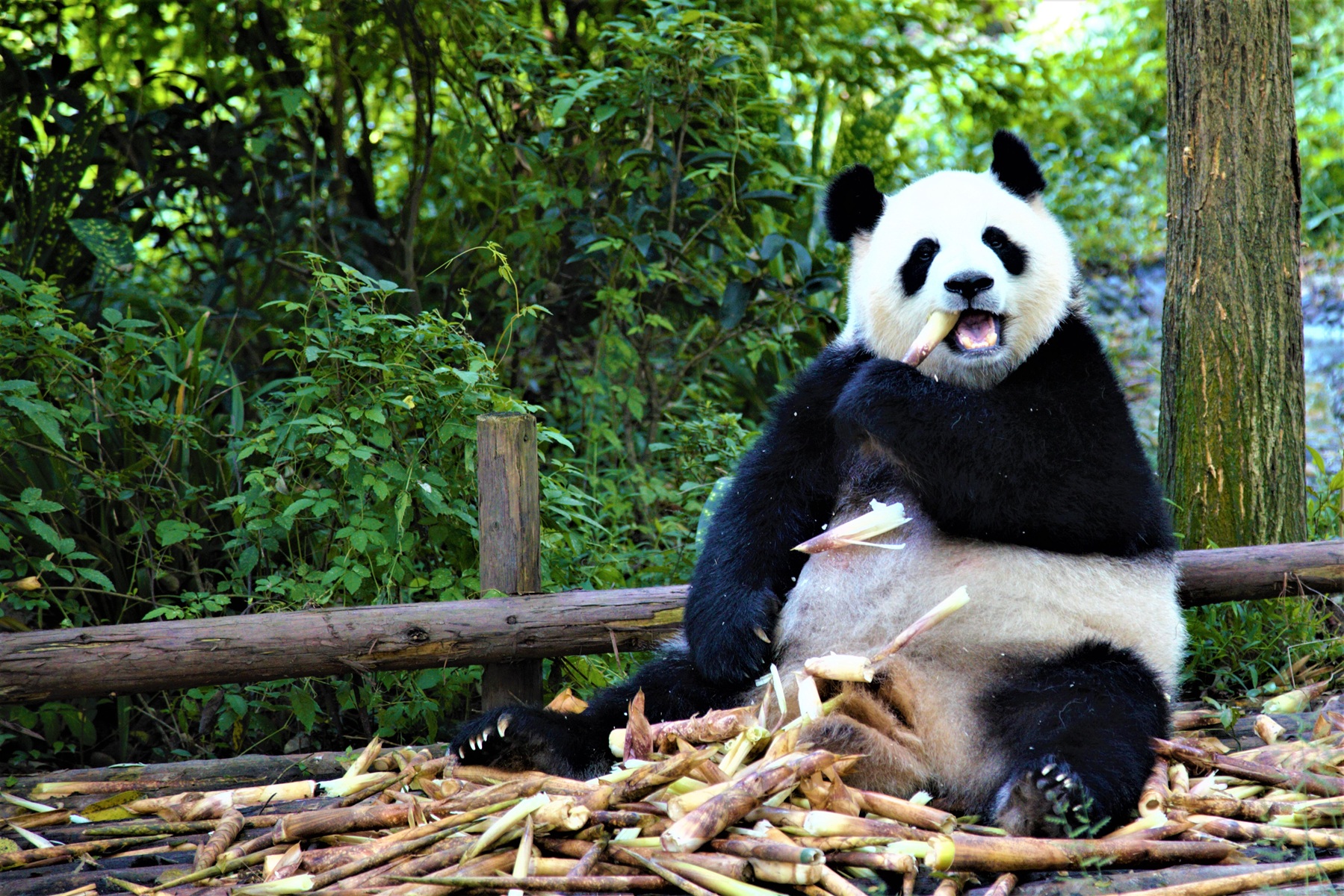 Najpestrejšia Čína 1