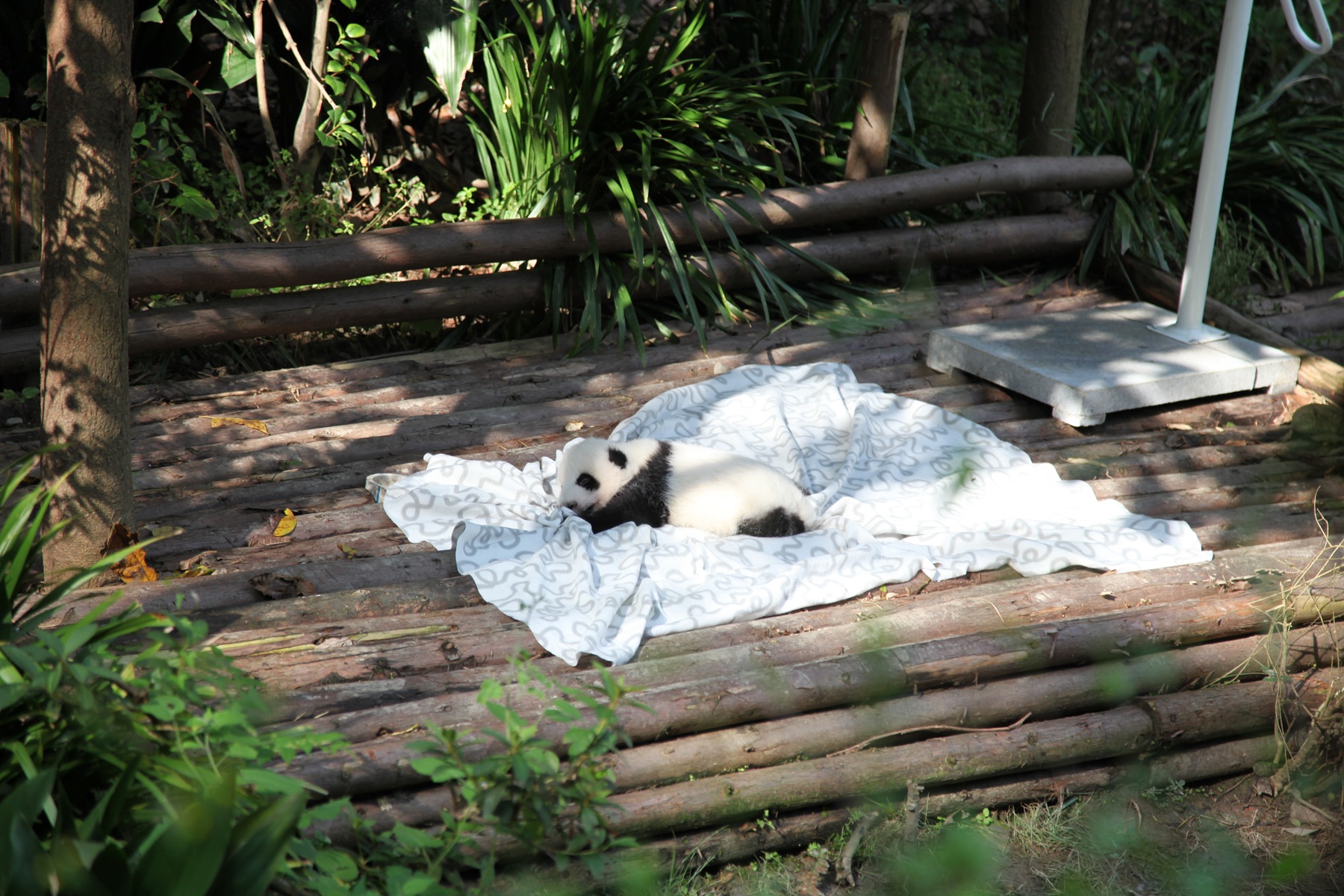 Najpestrejšia Čína 40