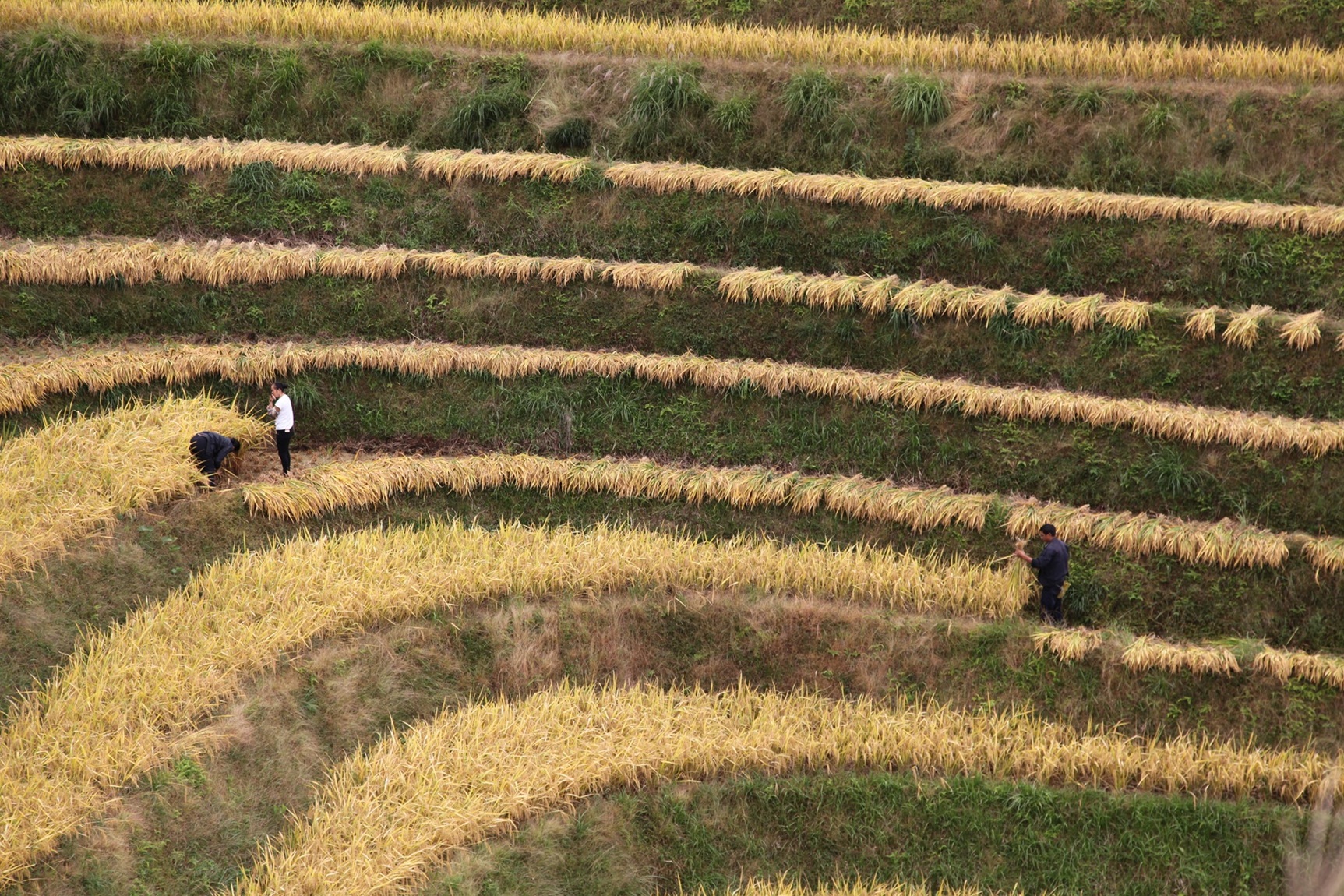Najpestrejšia Čína 18