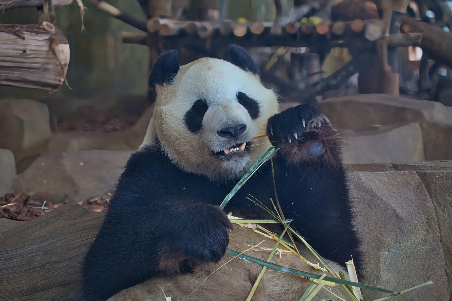 Najpestrejšia Čína 36