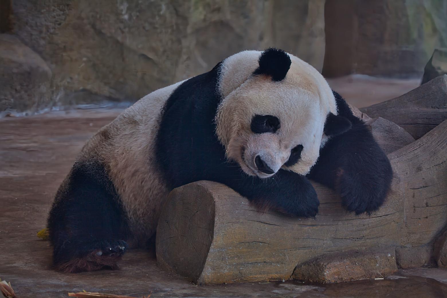 Najpestrejšia Čína 37