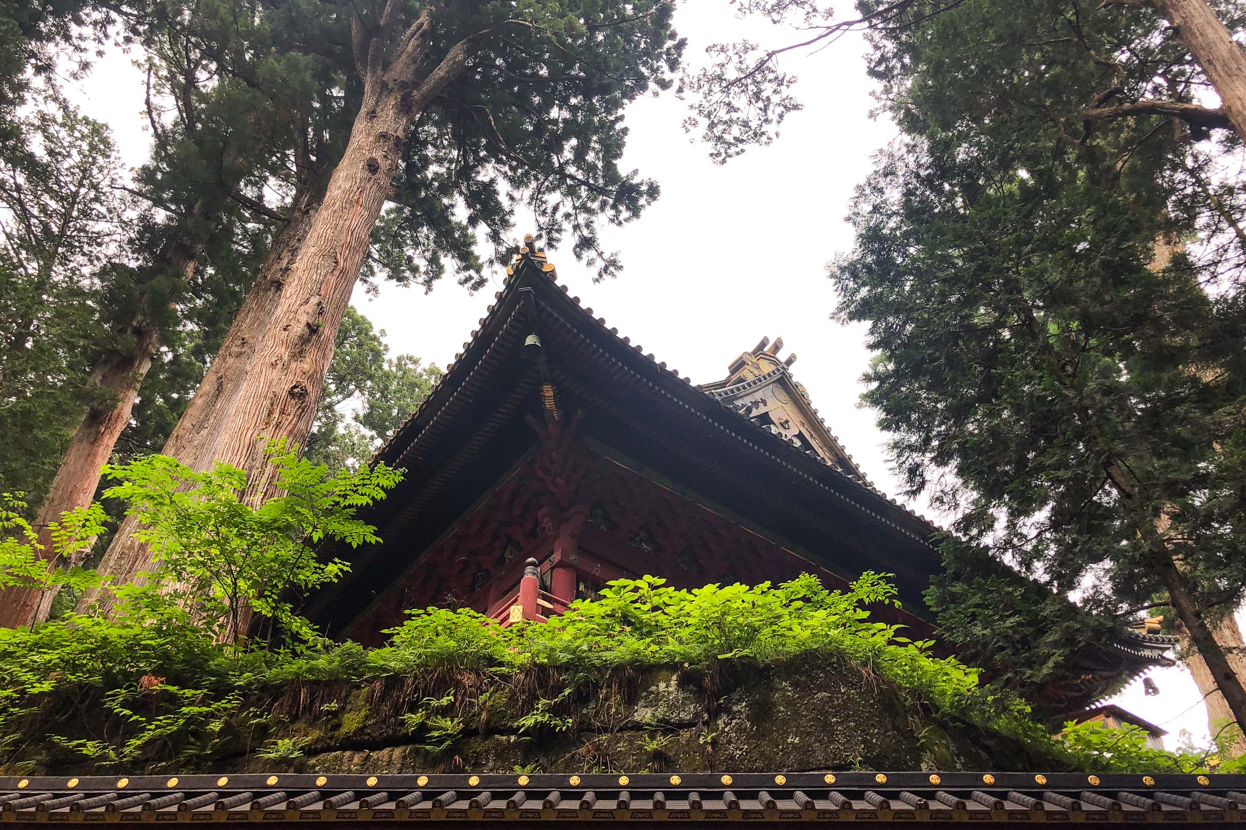 Najkrajšia cesta Japonskom 14