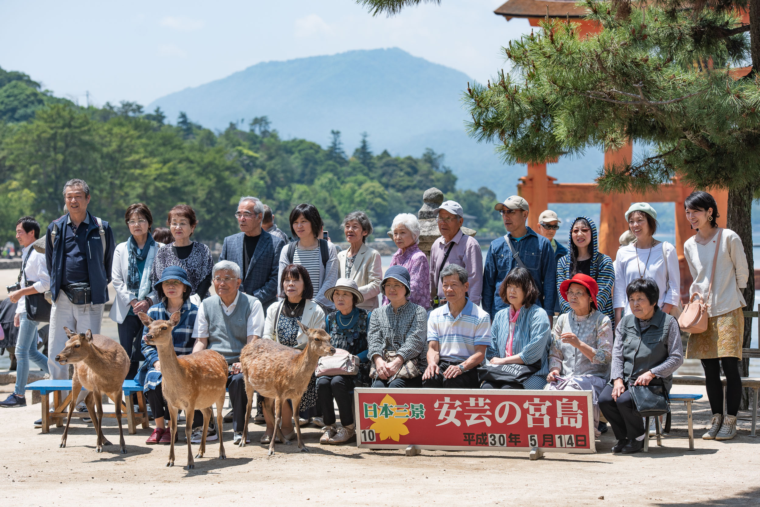 Najkrajšia cesta Japonskom 24