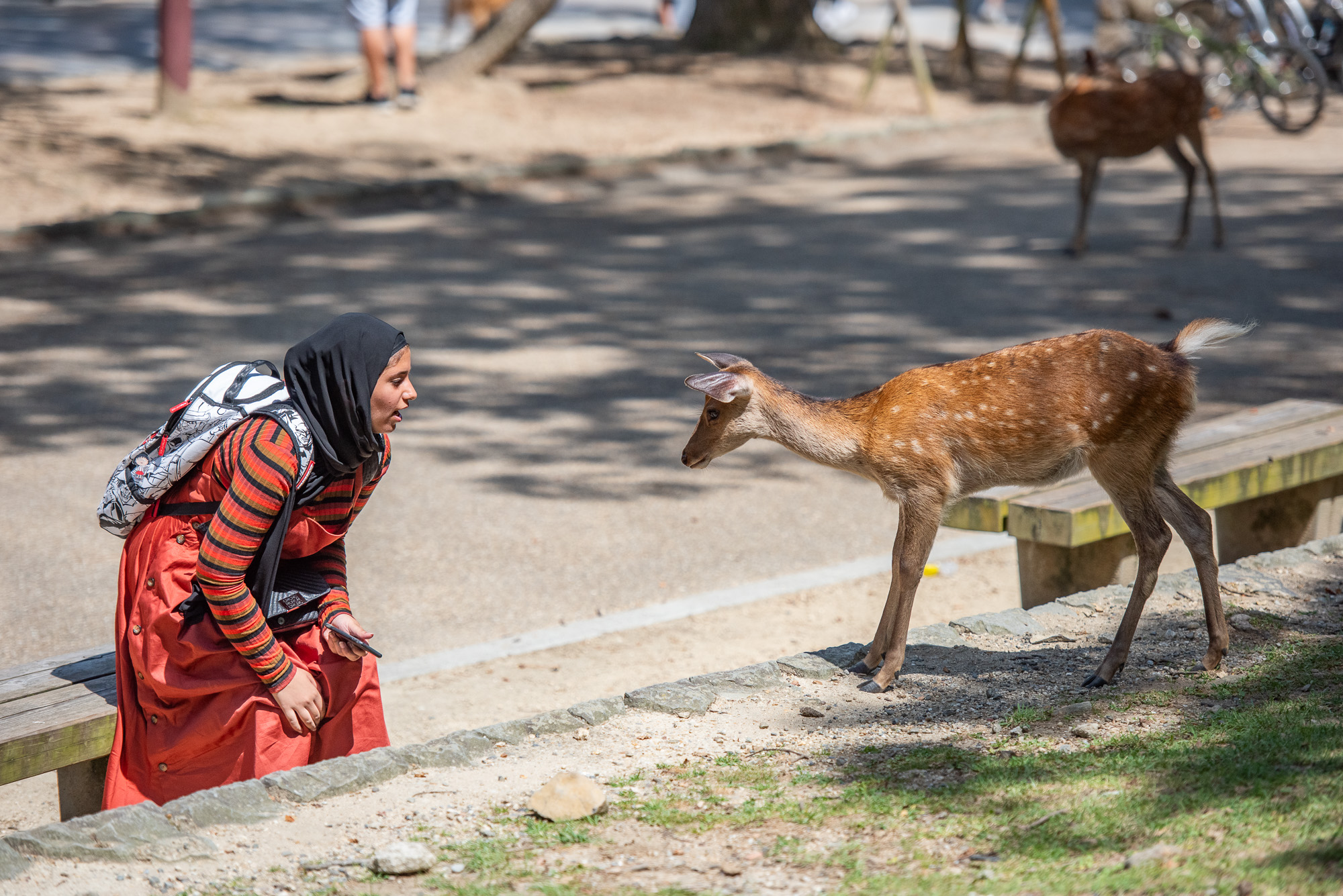 Najkrajšia cesta Japonskom 25