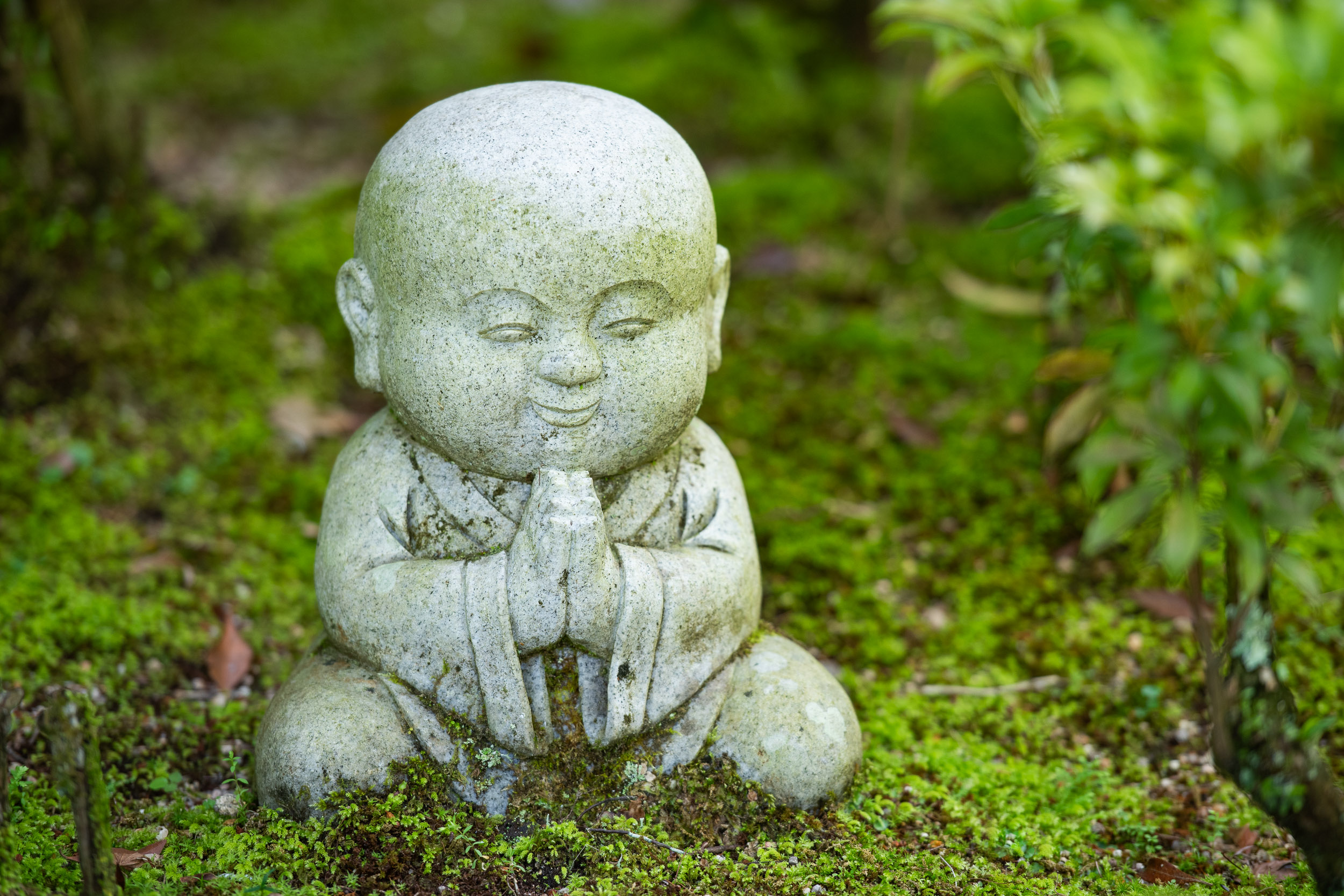 Najkrajšia cesta Japonskom 28