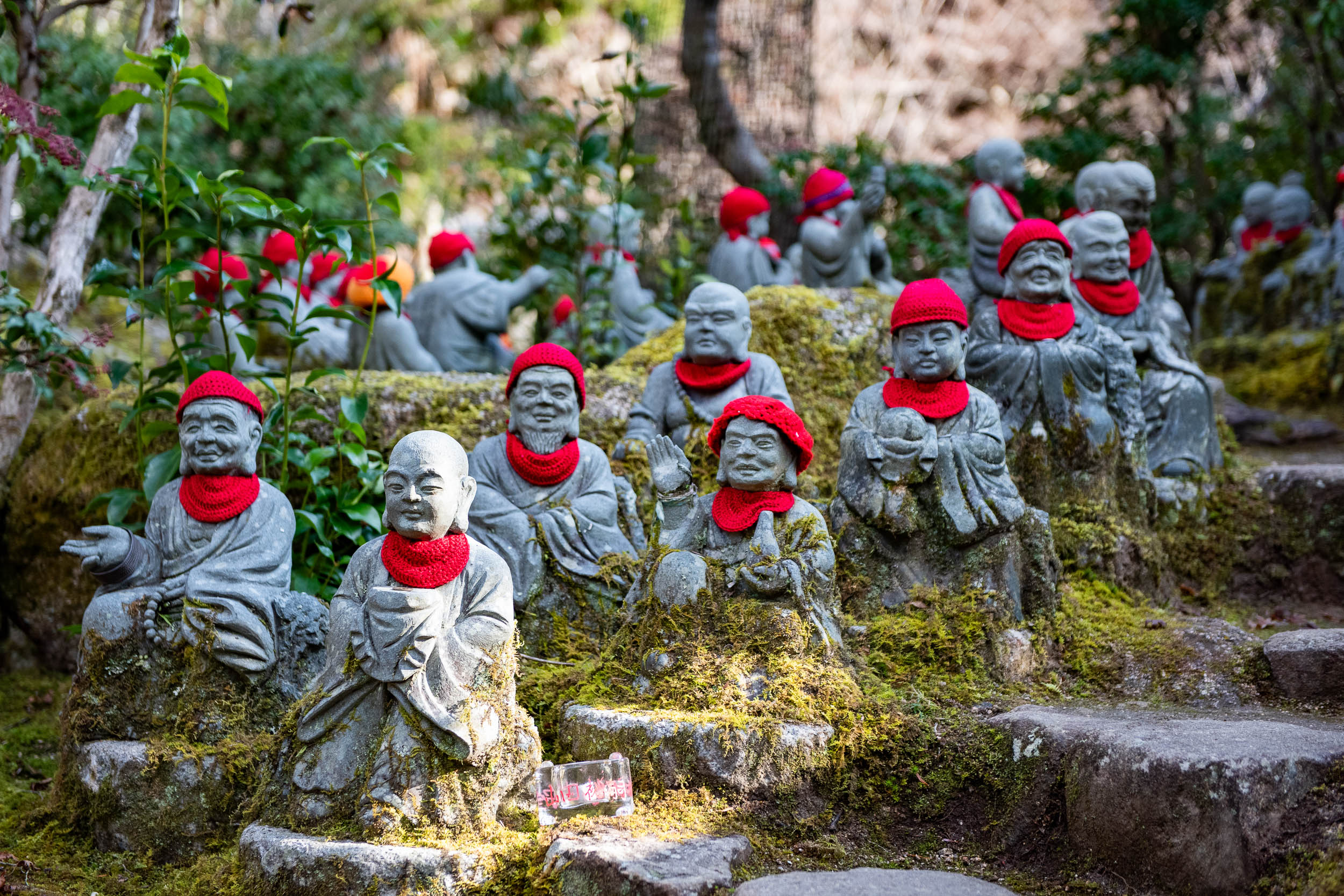 Najkrajšia cesta Japonskom 30