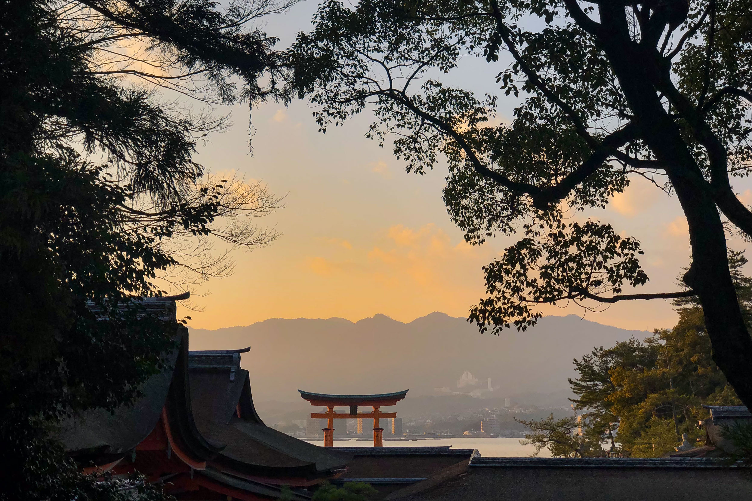 Najkrajšia cesta Japonskom 36