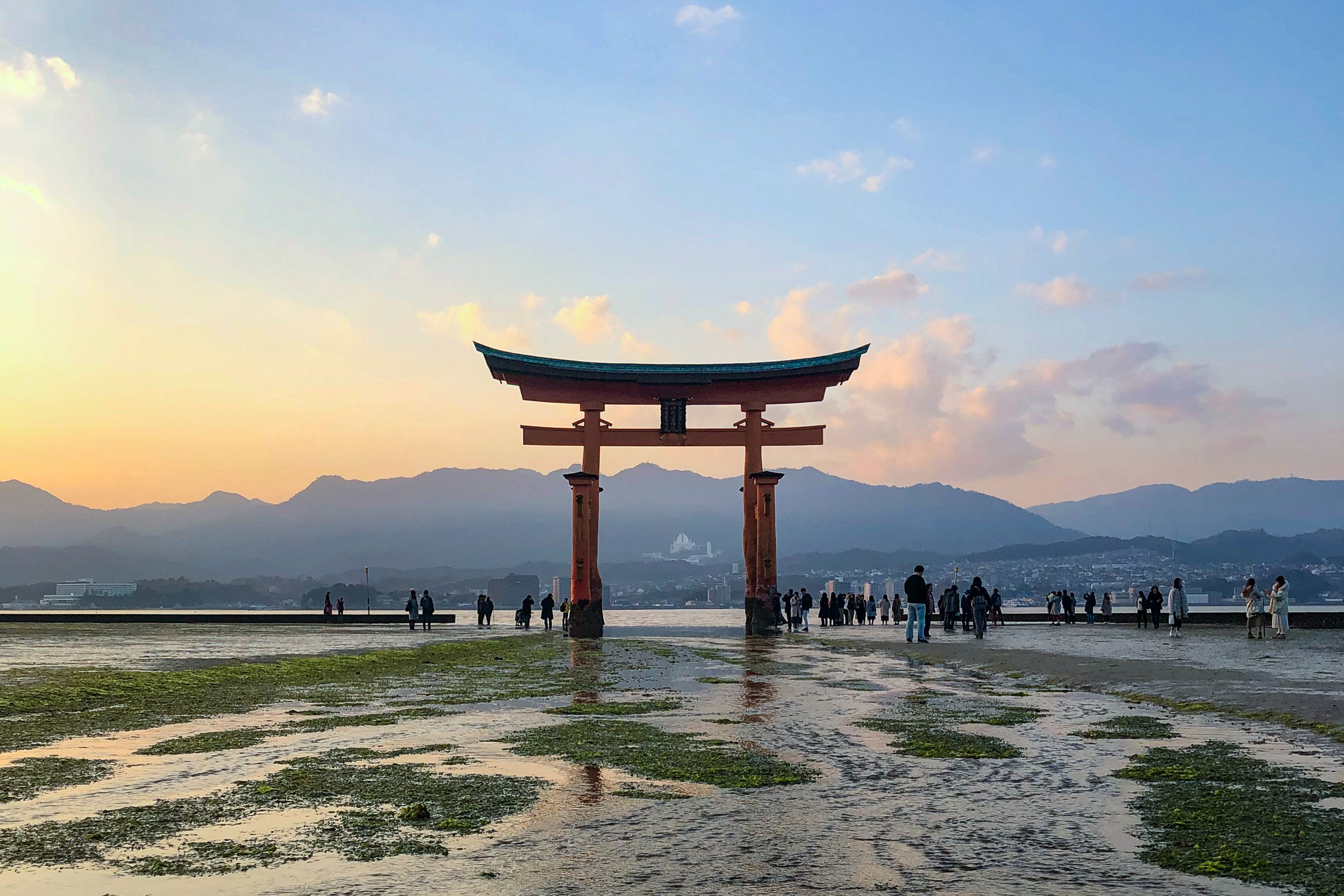 Najkrajšia cesta Japonskom 23