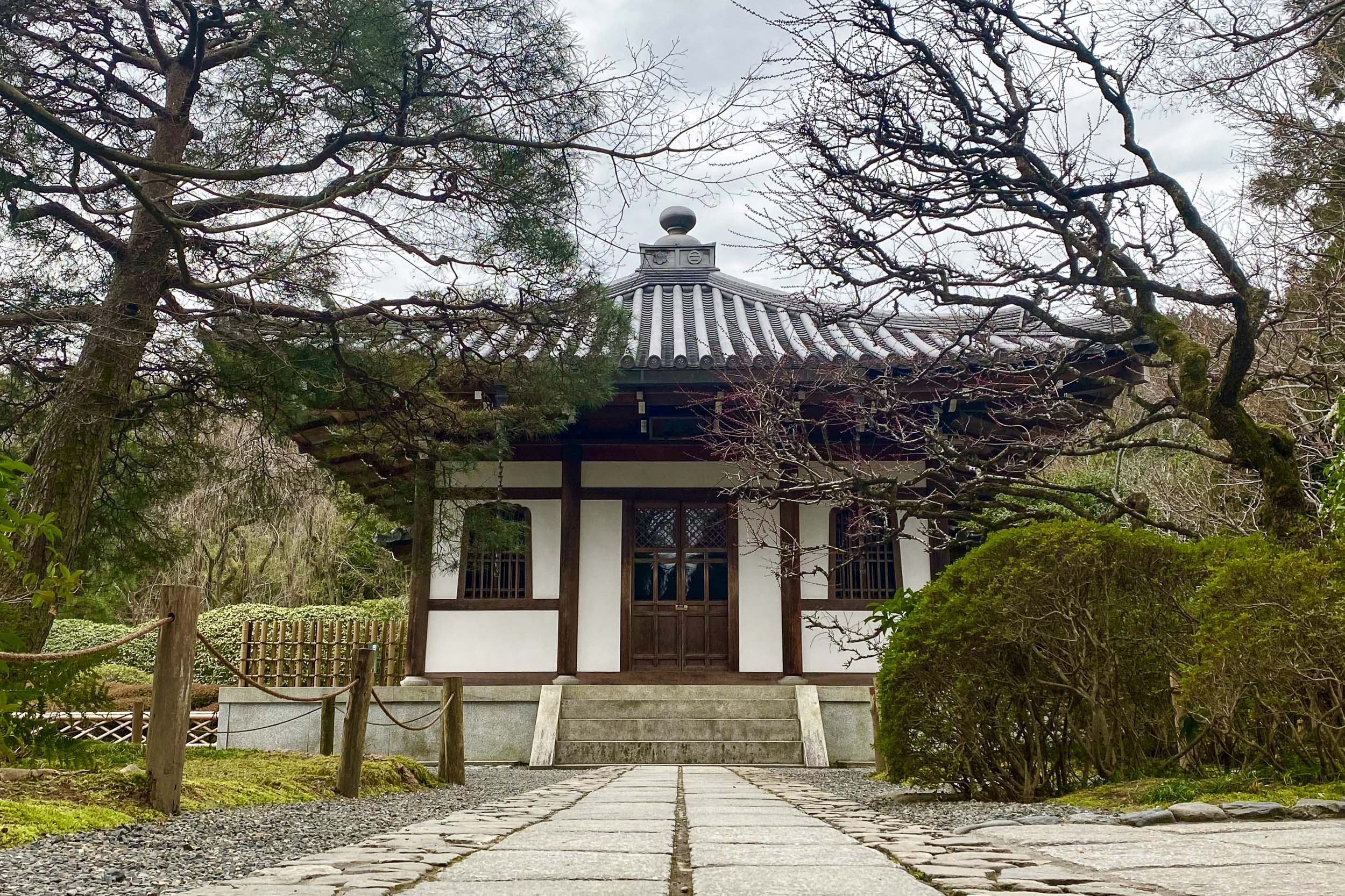 Najkrajšia cesta Japonskom 51