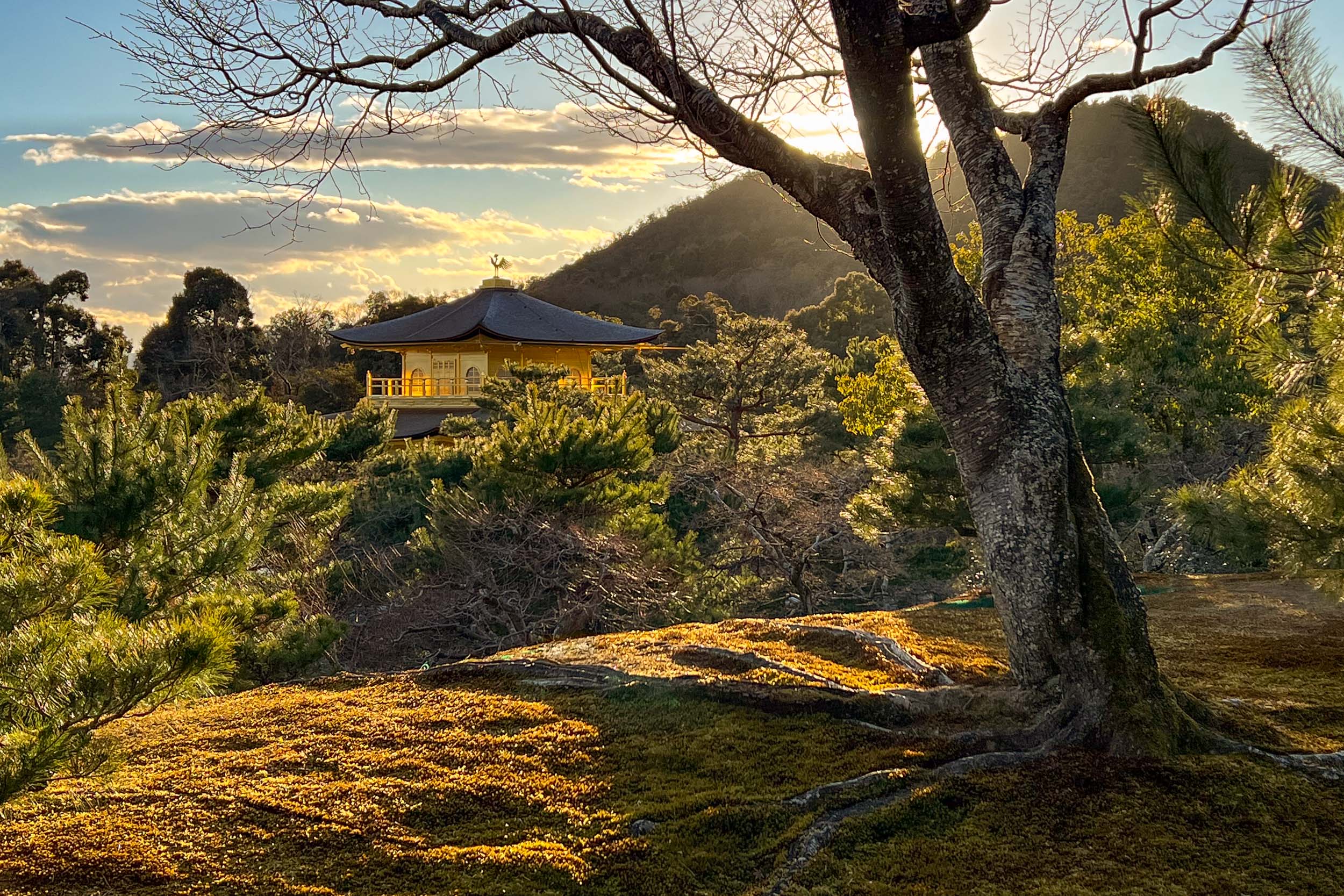 Najkrajšia cesta Japonskom 54