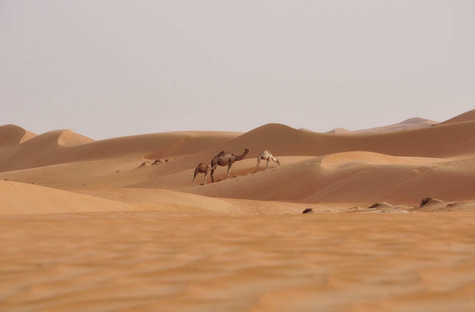 Veľký okruh Ománom 2