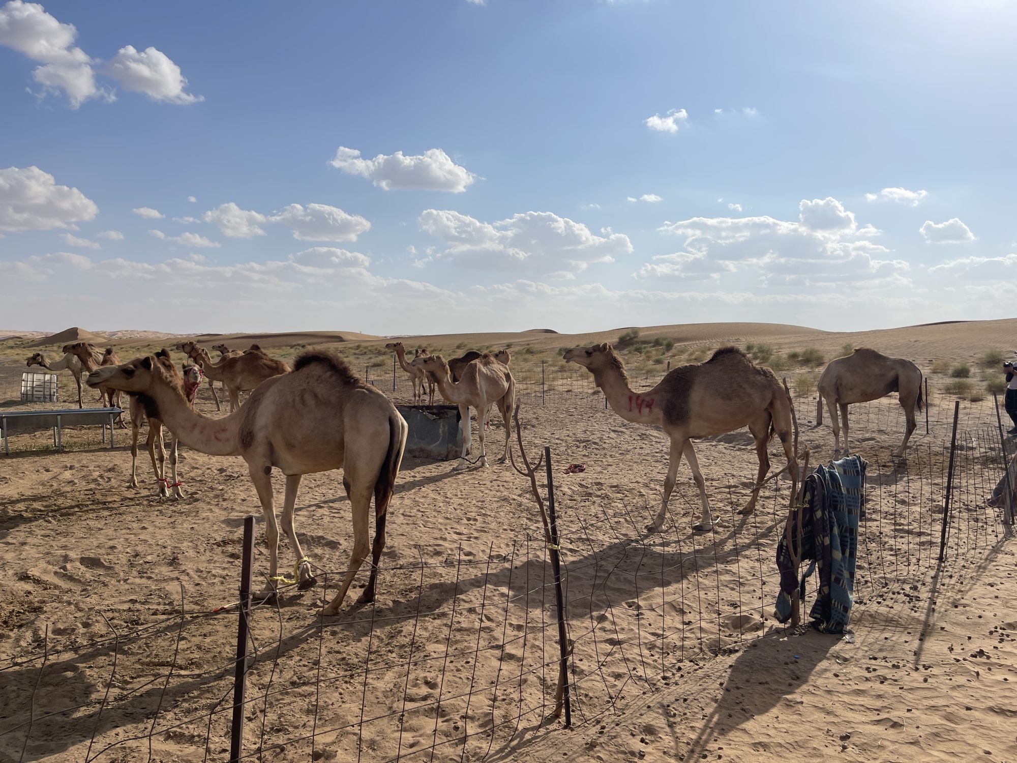 Veľký okruh Ománom 10