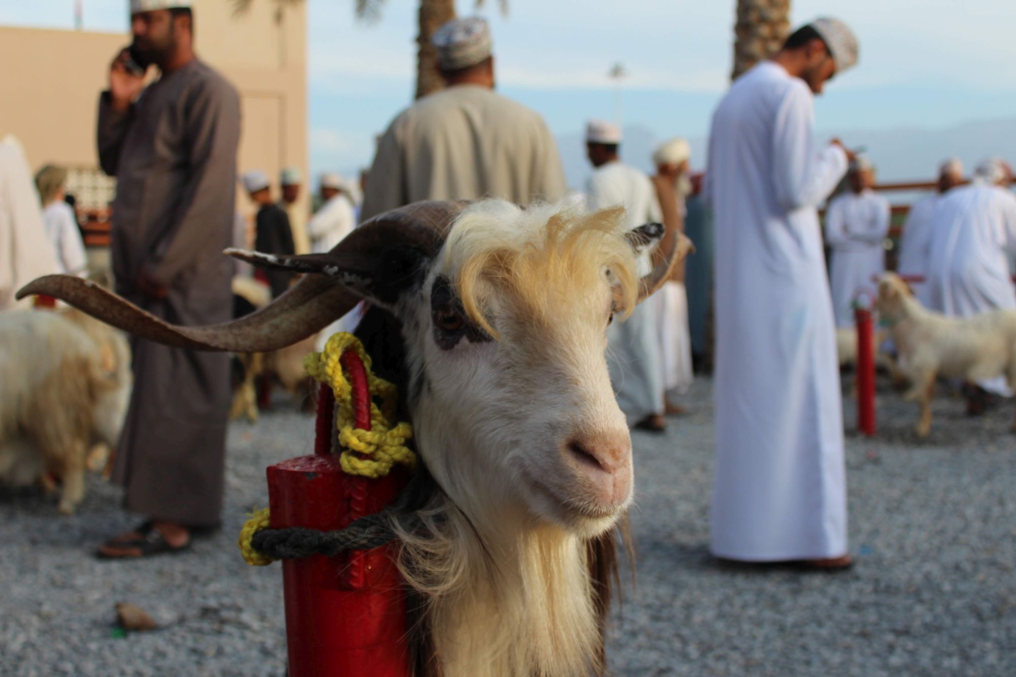 Veľký okruh Ománom 13