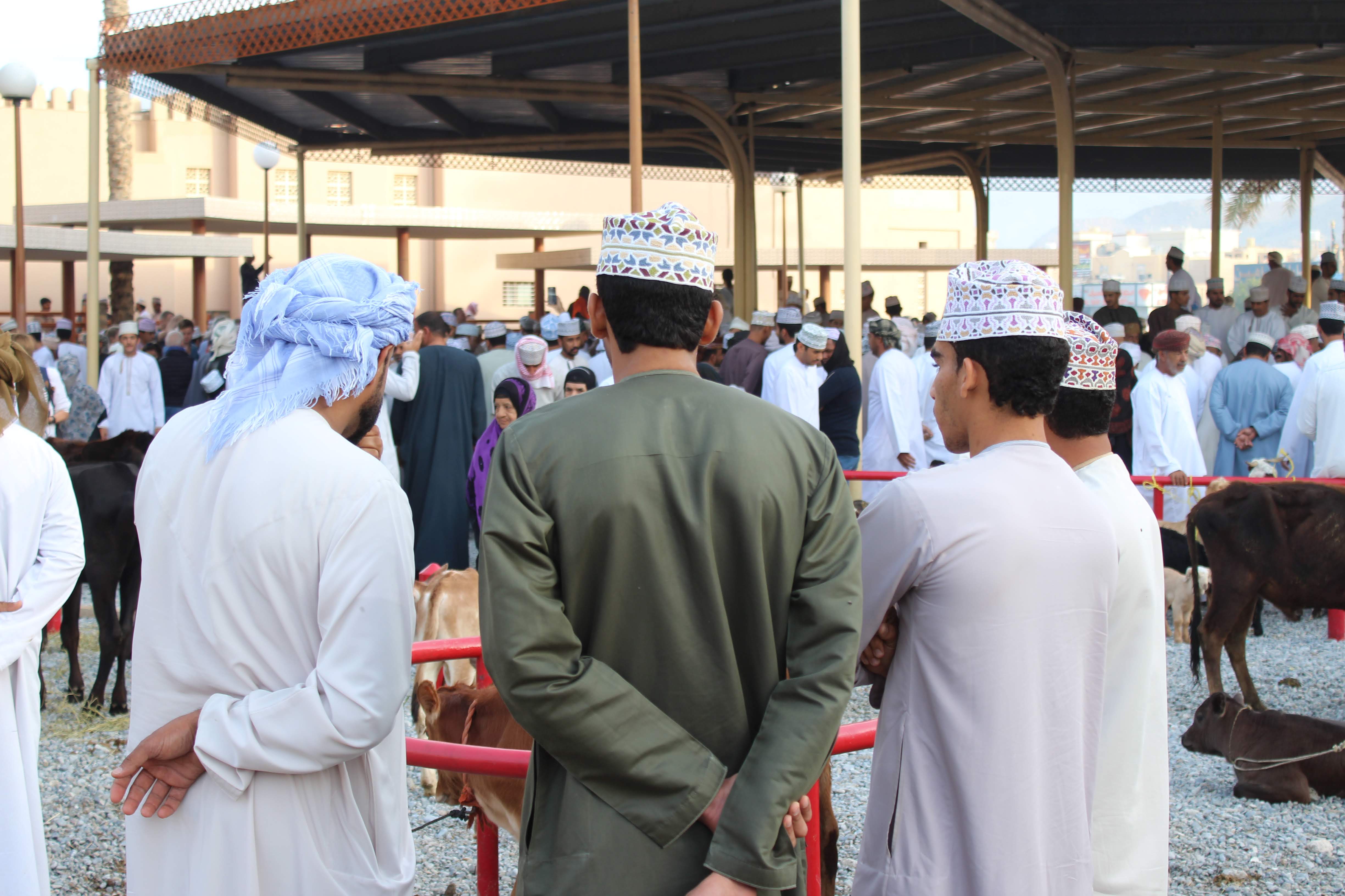 Veľký okruh Ománom 16