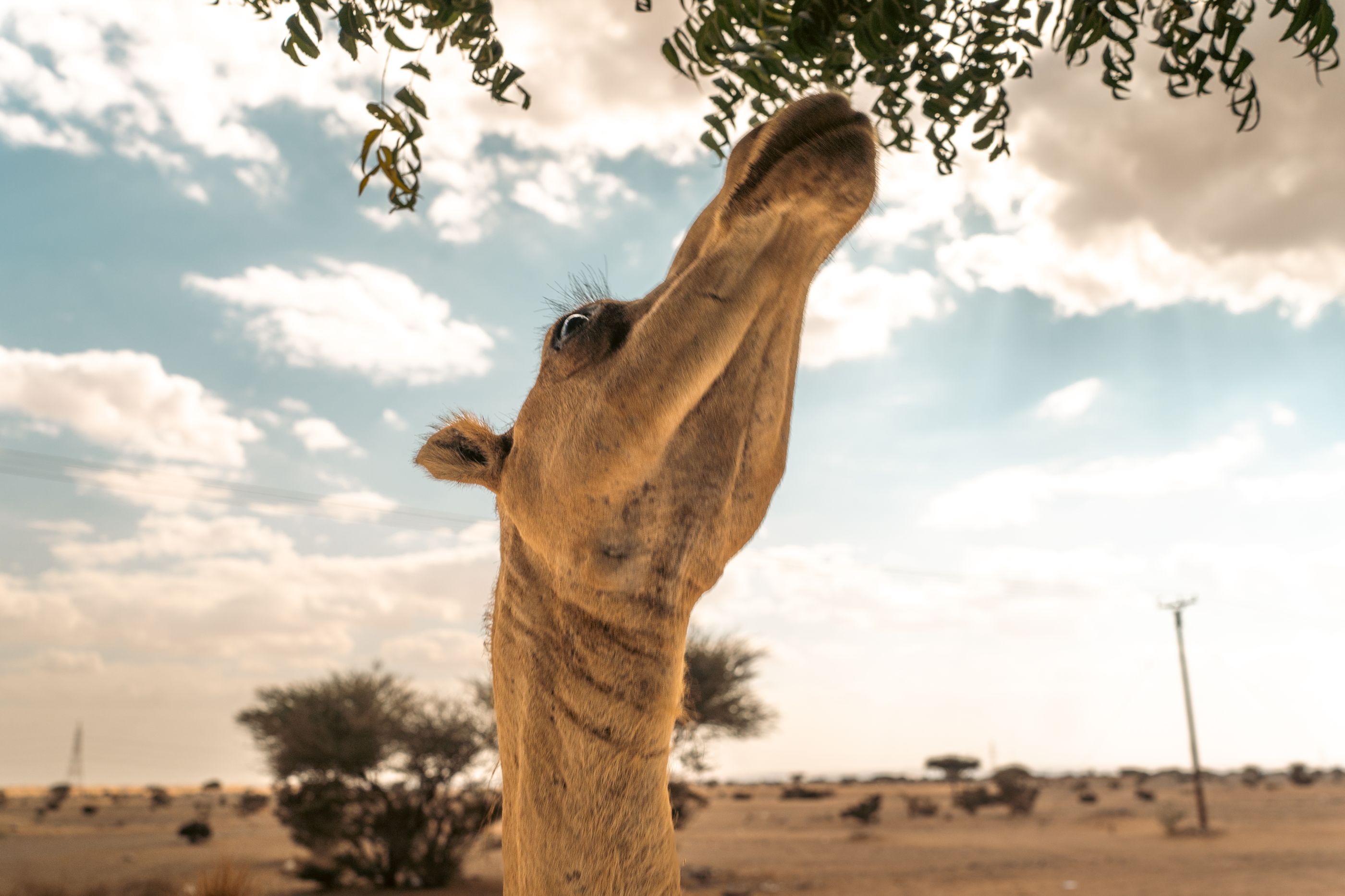 Veľký okruh Ománom 19