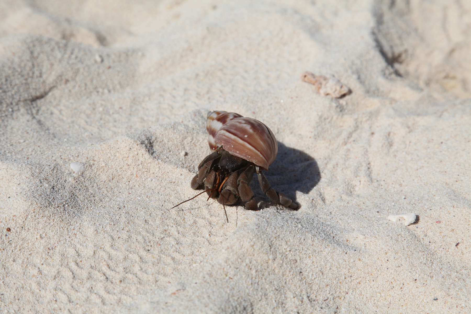 Thajsko, Malajzia, Singapur - Pohodová exotika 17