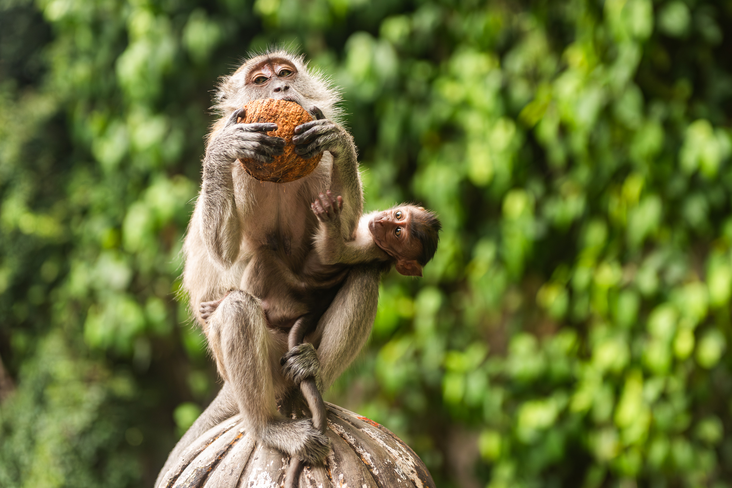 Thajsko, Malajzia, Singapur - Pohodová exotika 24