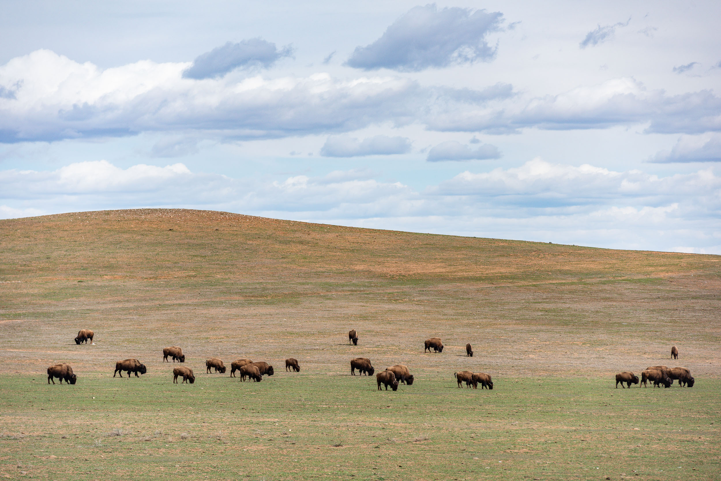 USA komfortne - cesta za ikonami Západu 47