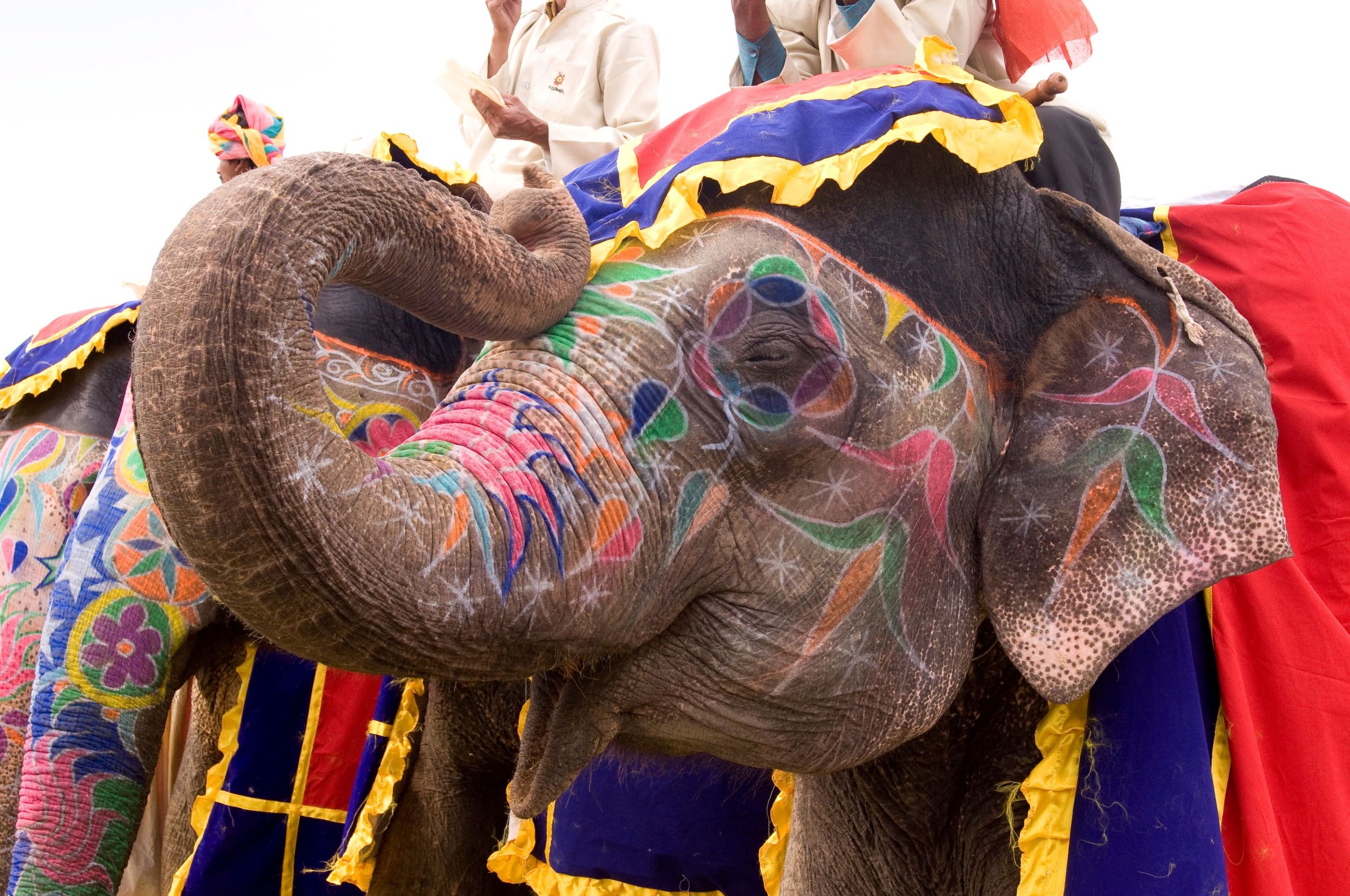 India - Festival svetiel Diwali 3