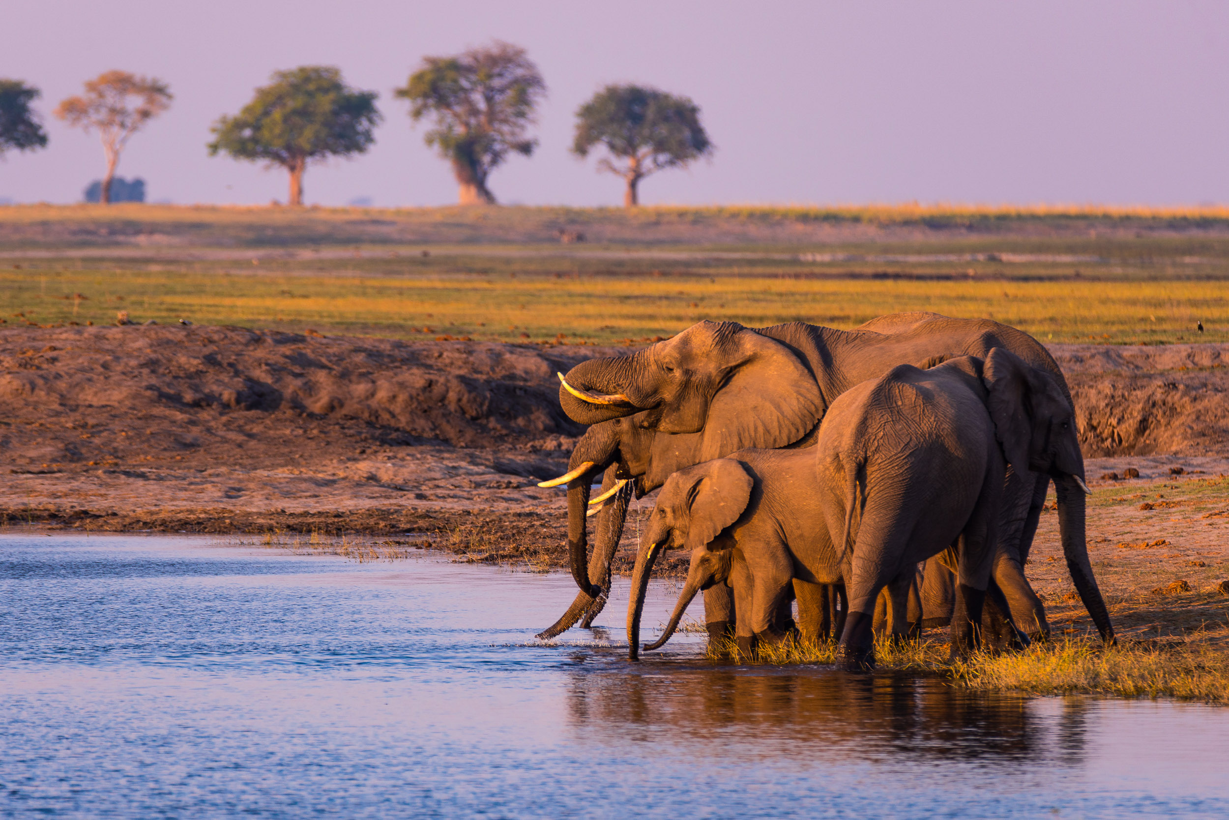 Juhoafrická republika komfortne - vinice, Kapské mesto a safari 35