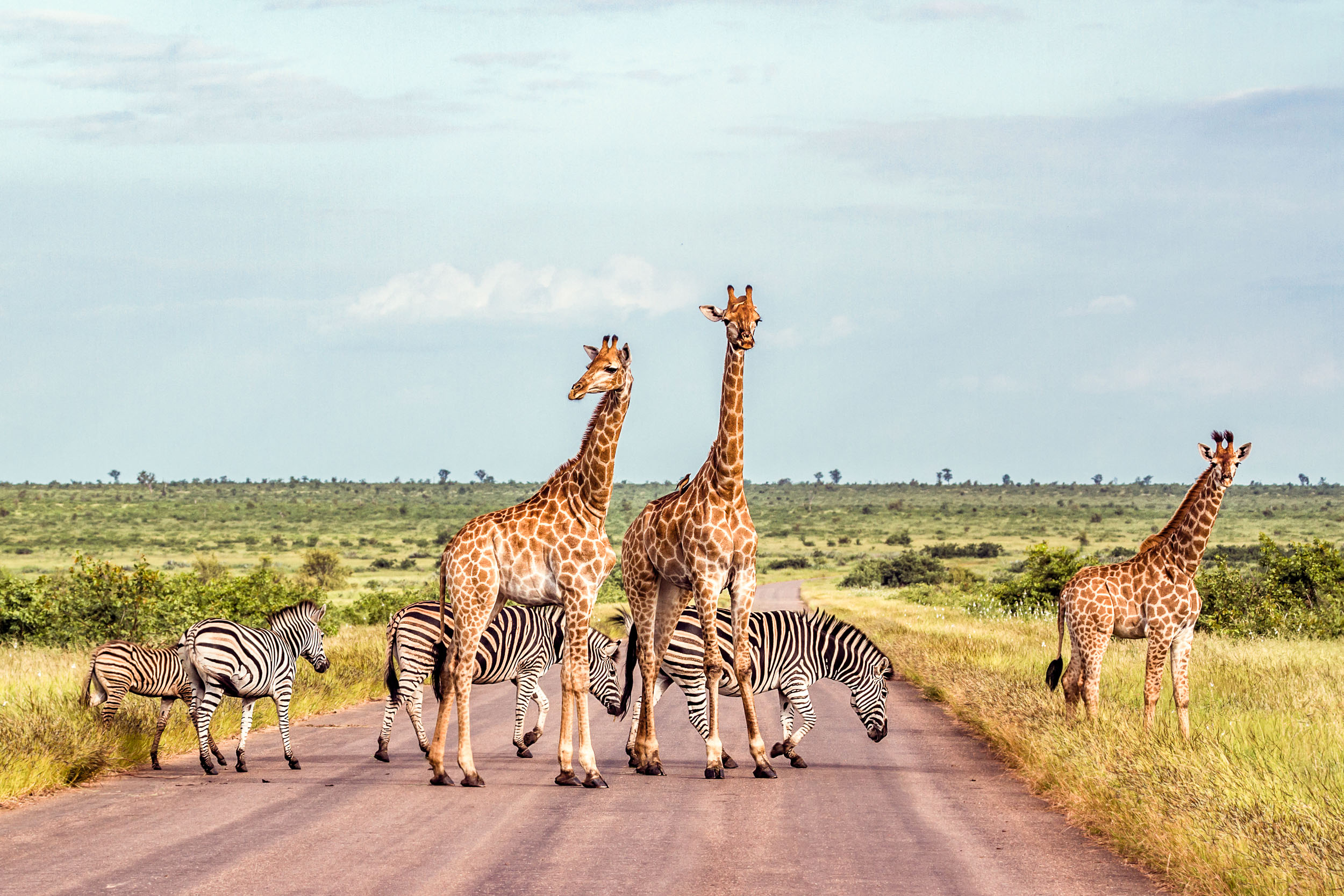 Juhoafrická republika komfortne - vinice, Kapské mesto a safari 33