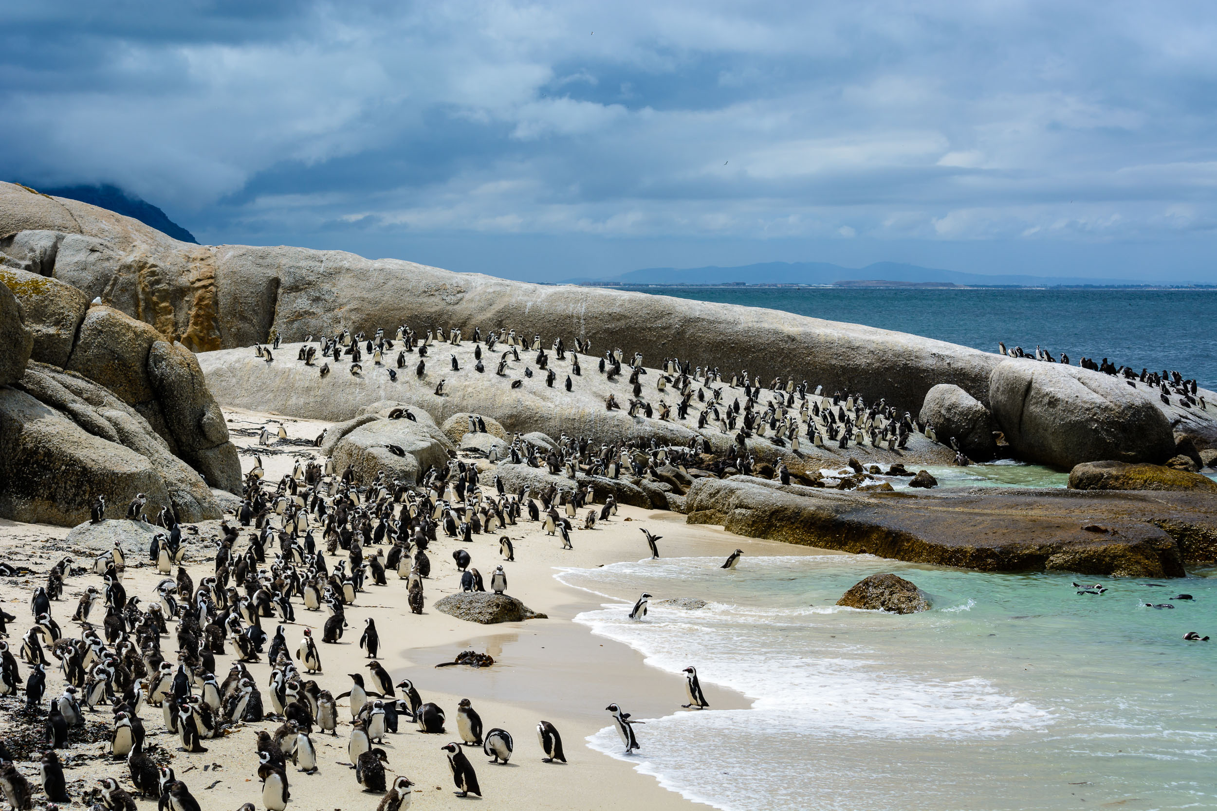 Juhoafrická republika komfortne - vinice, Kapské mesto a safari 38