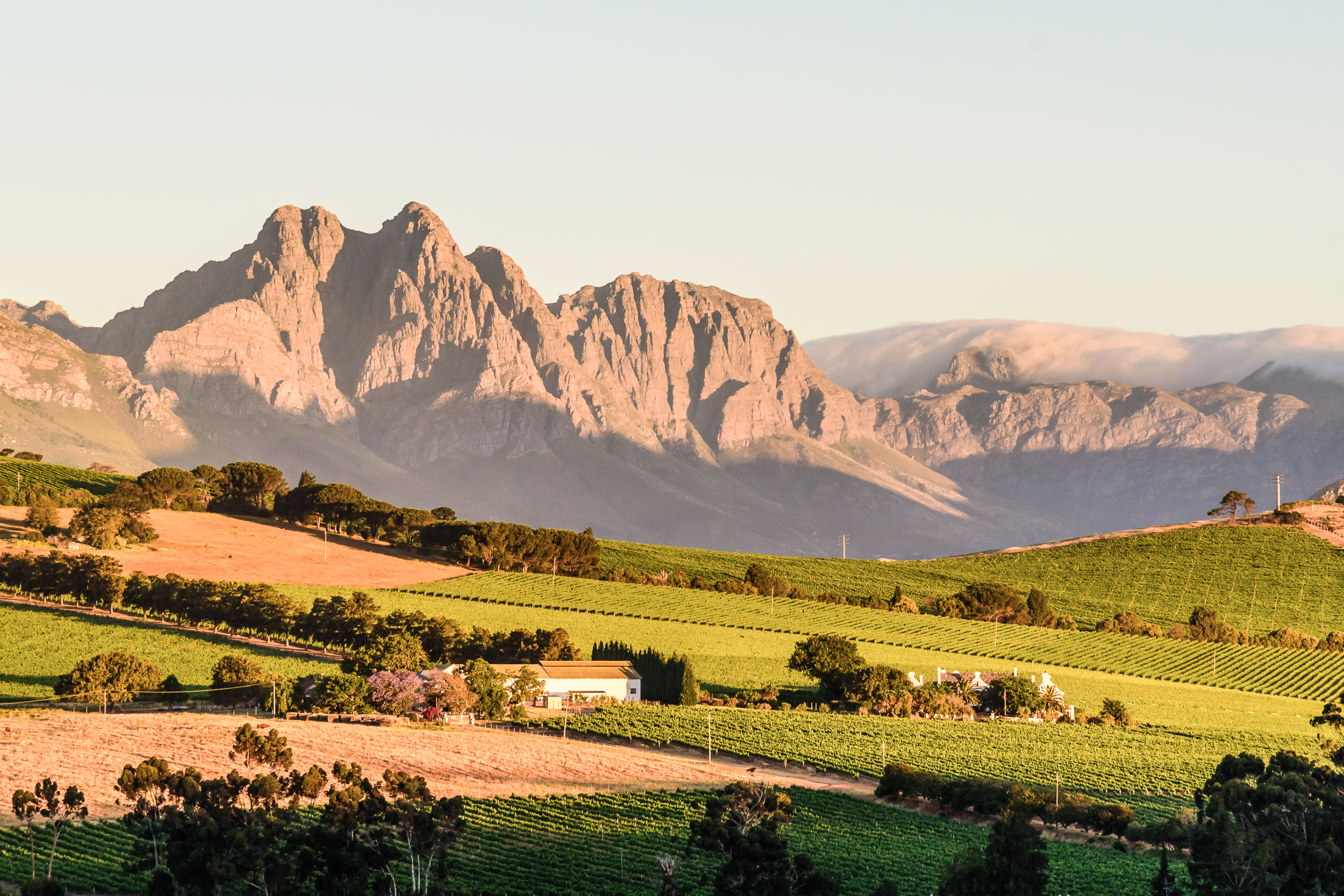 Juhoafrická republika komfortne - vinice, Kapské mesto a safari 5
