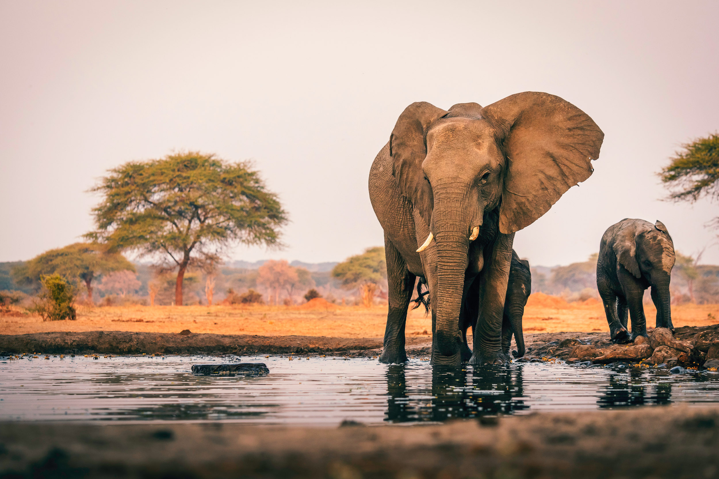 Juhoafrická republika komfortne - vinice, Kapské mesto a safari 39